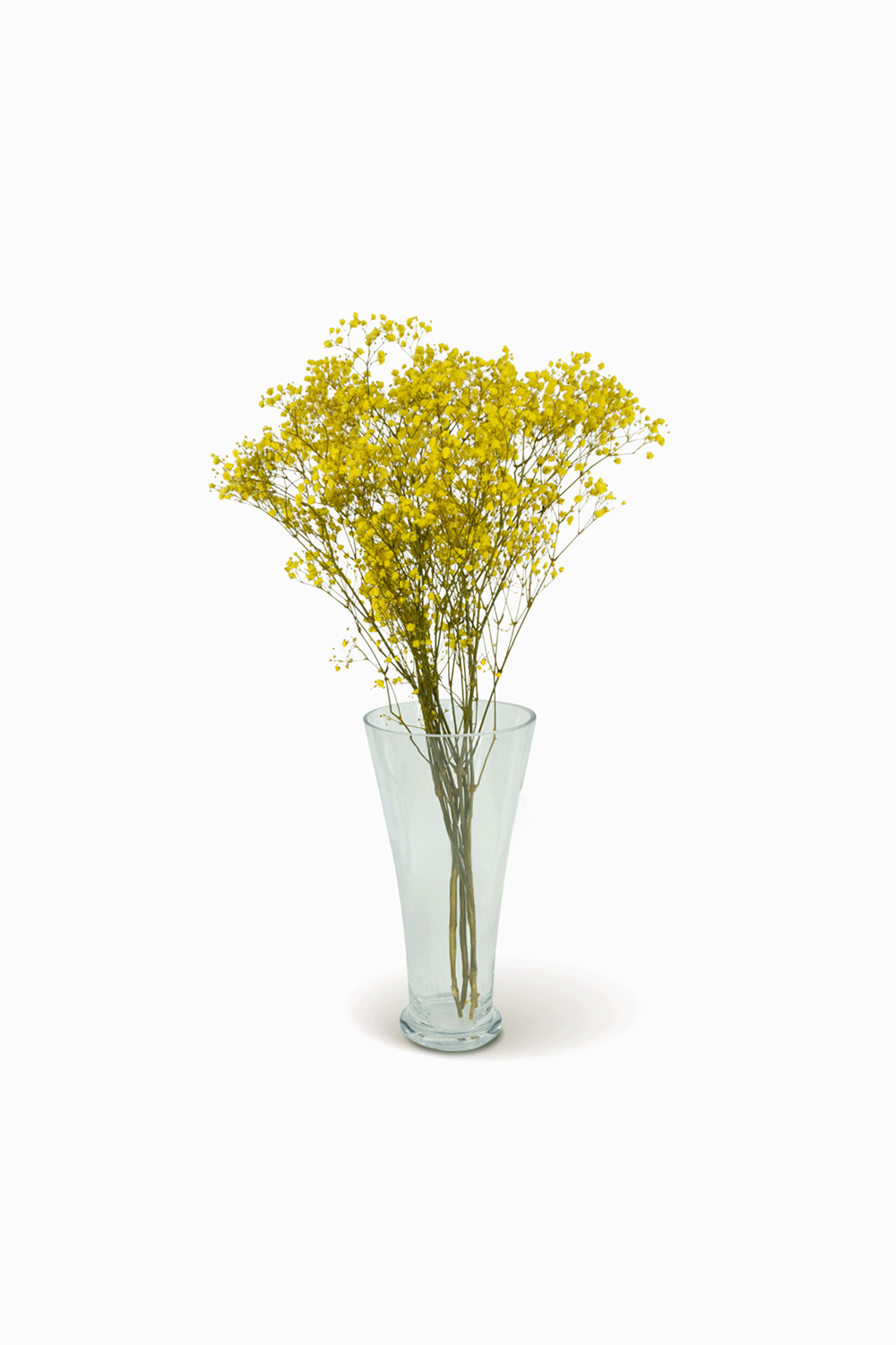 Ramo Gypso Amarillo