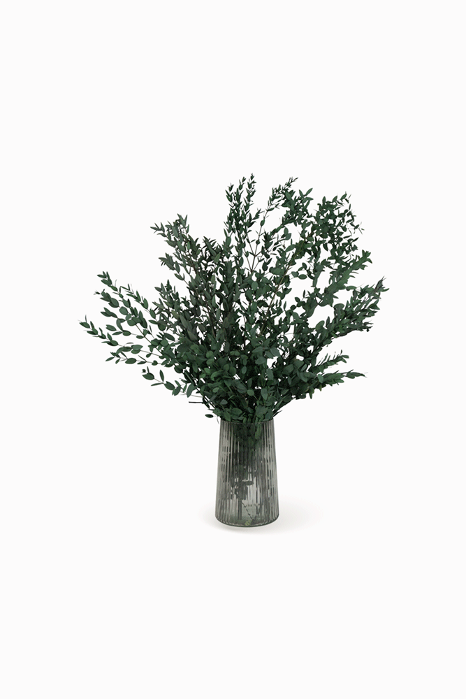 Ramo Parvifolia Verde
