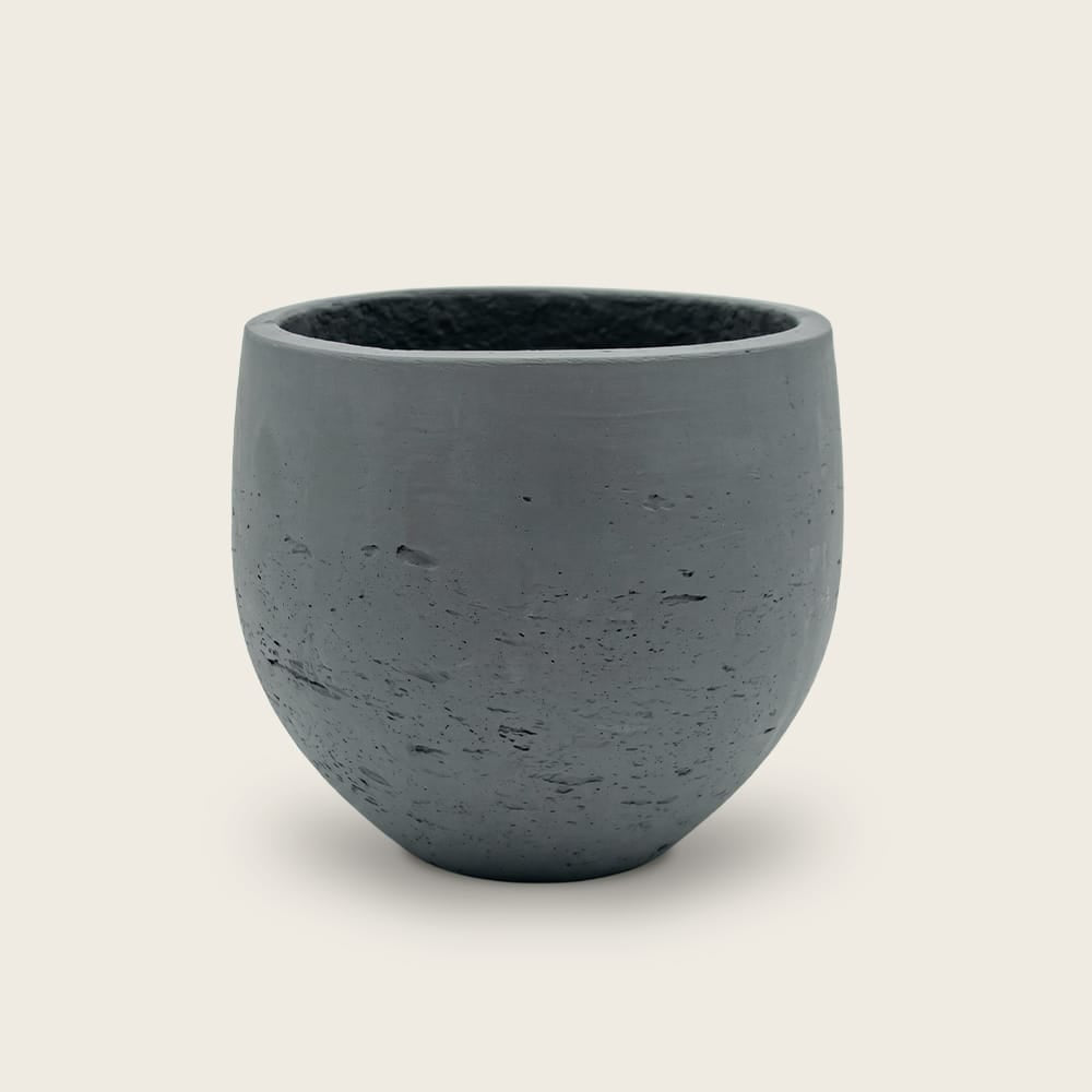 Orb Negro S
