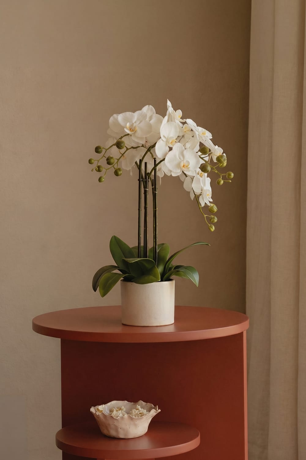 Orquídea Duo
