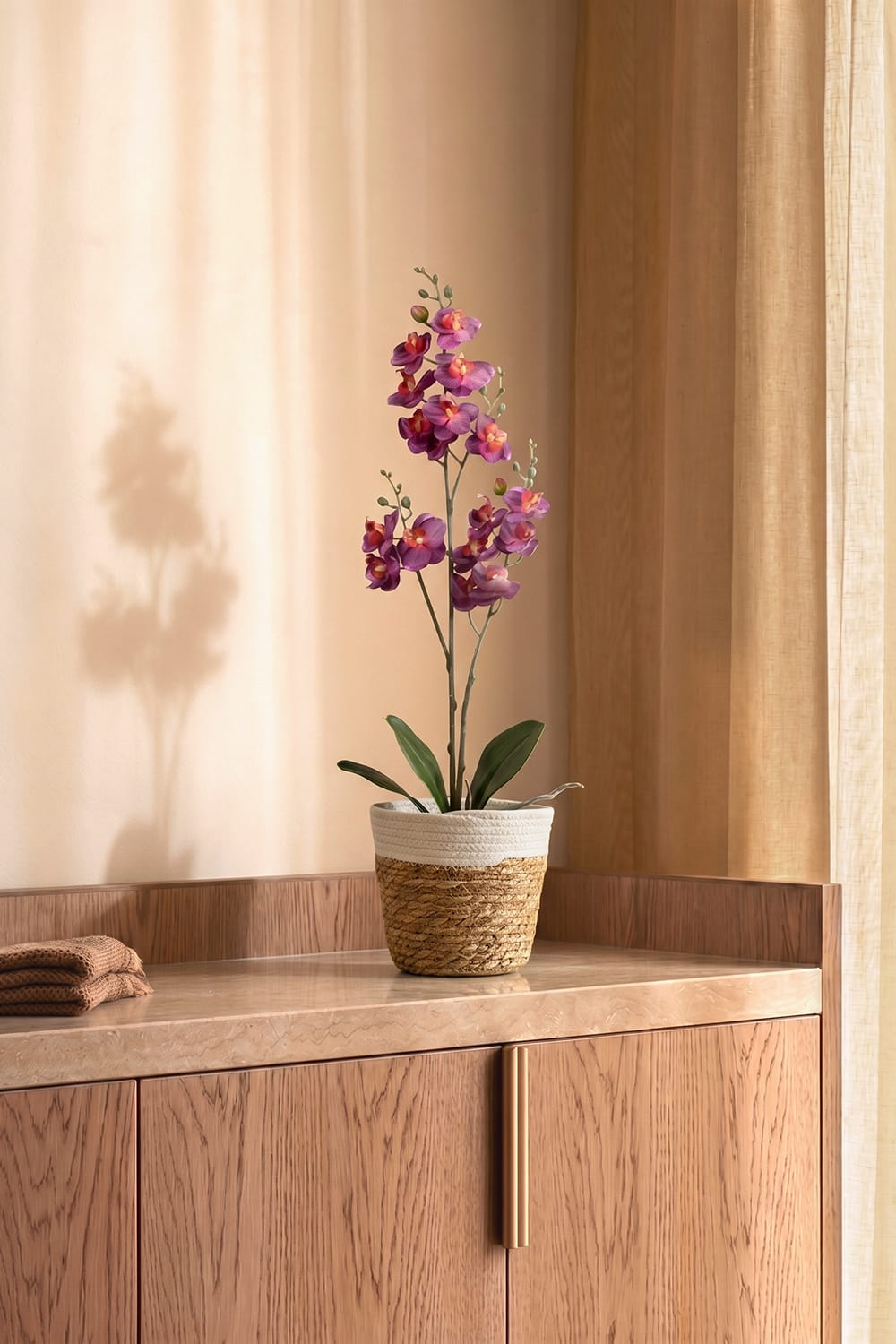 Orquídea Single Fucsia