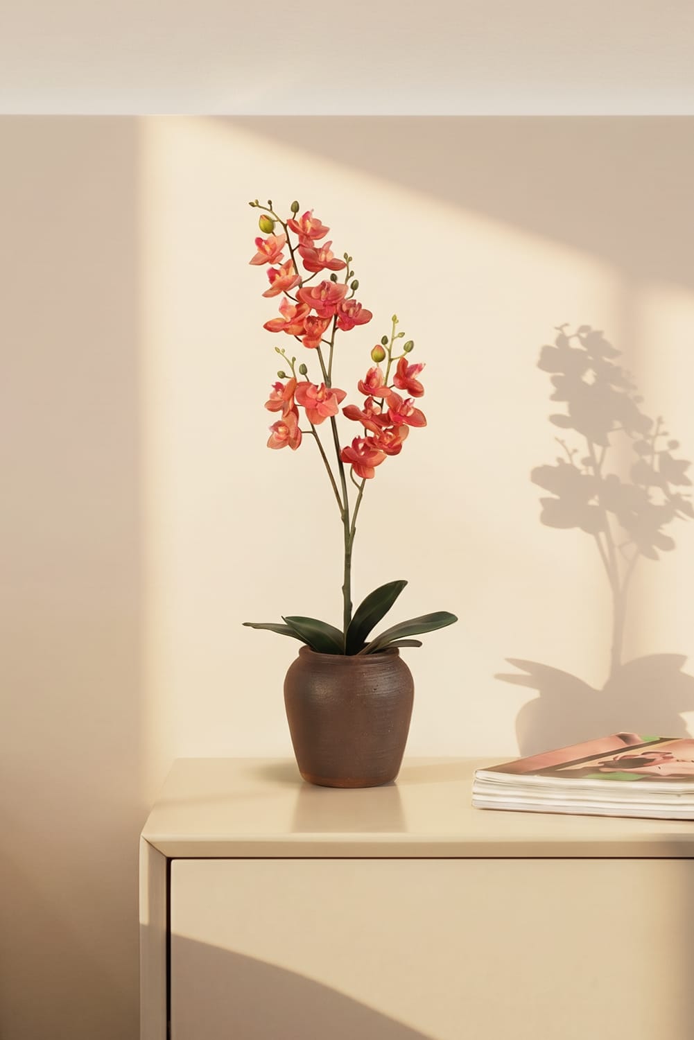 Orquídea Single Rosa