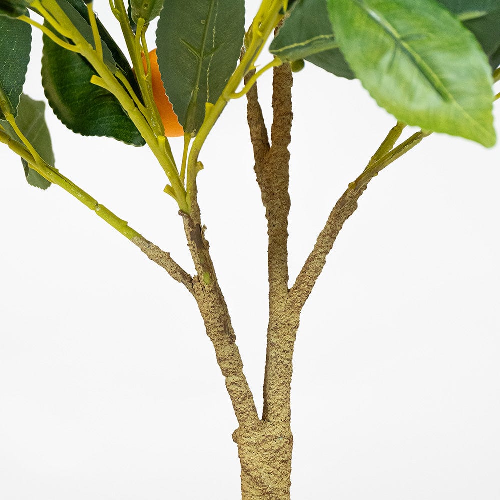 Árbol Naranjo