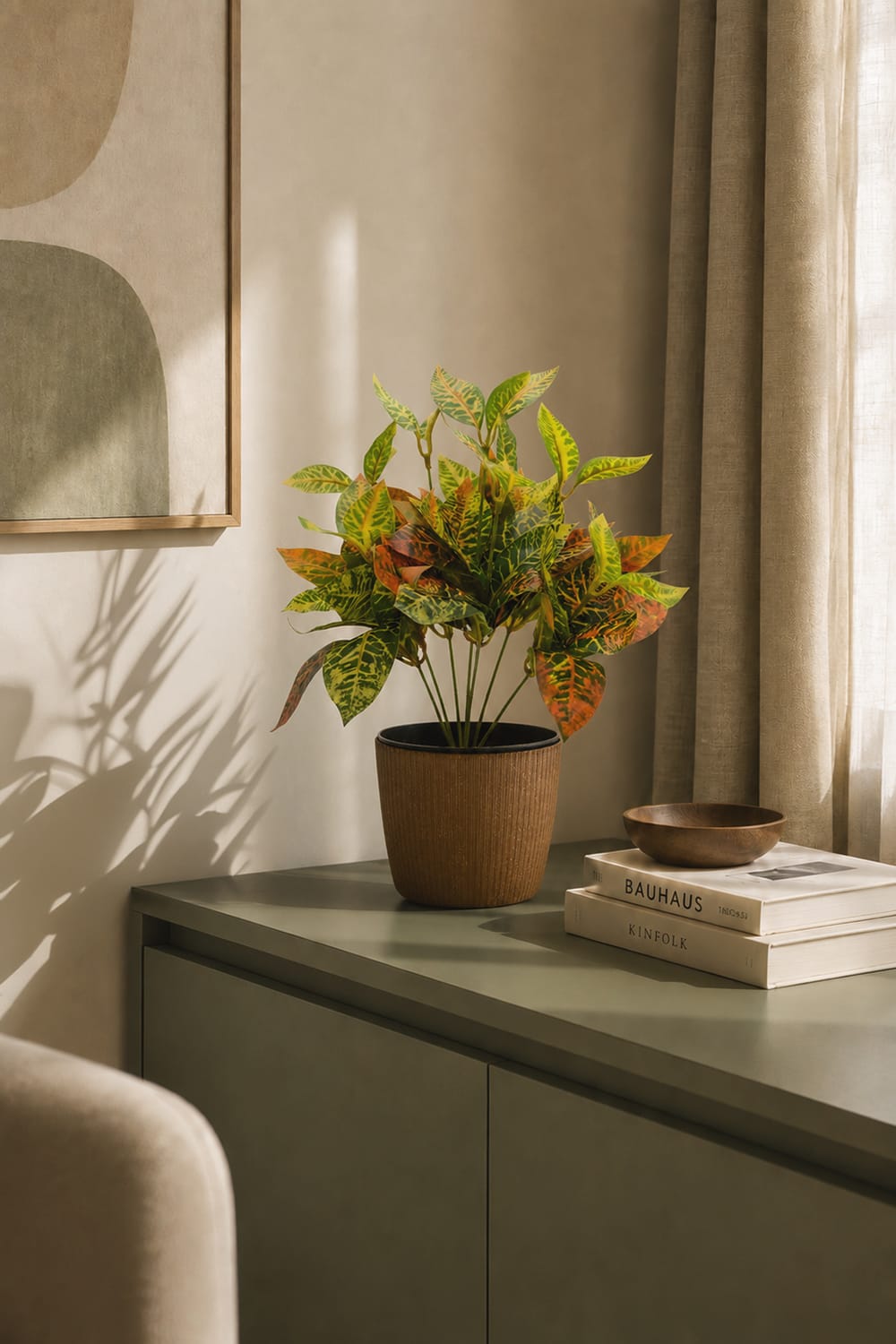 Croton mini