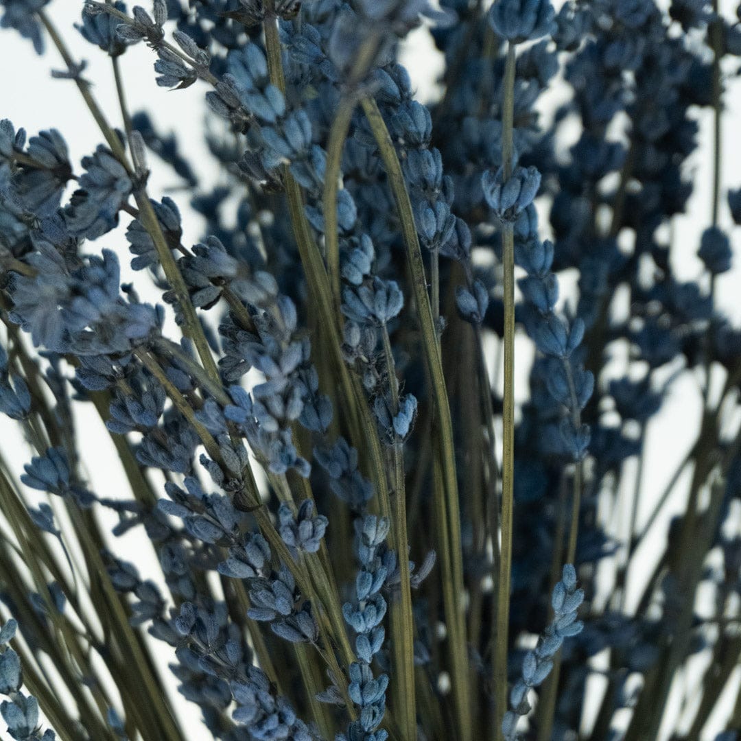 Ramo Lavanda Azul