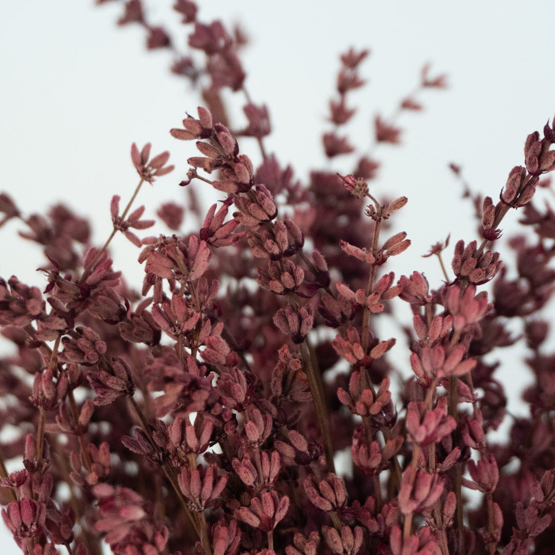 Ramo Lavanda Fucsia