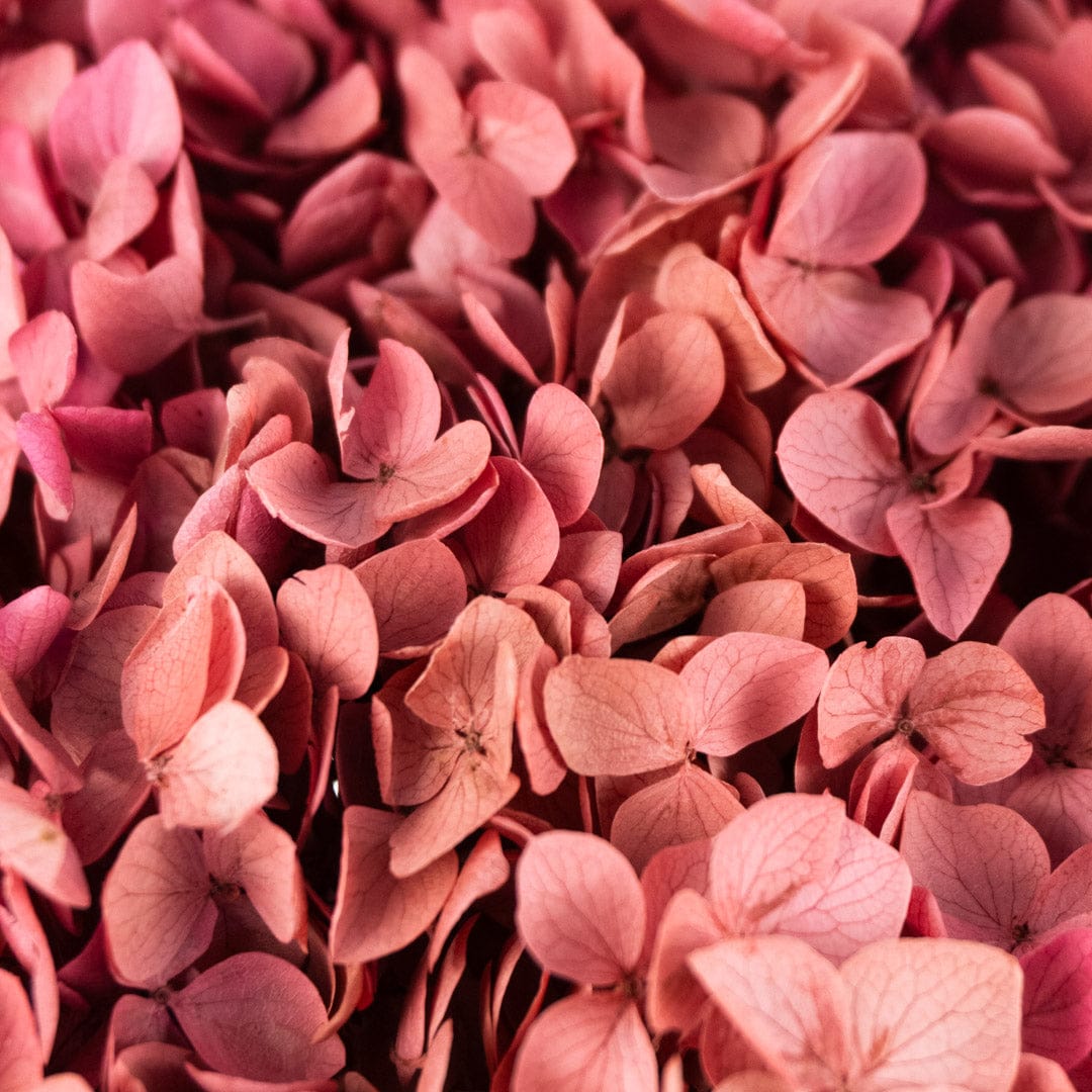 Ramo Hortensia Rosa