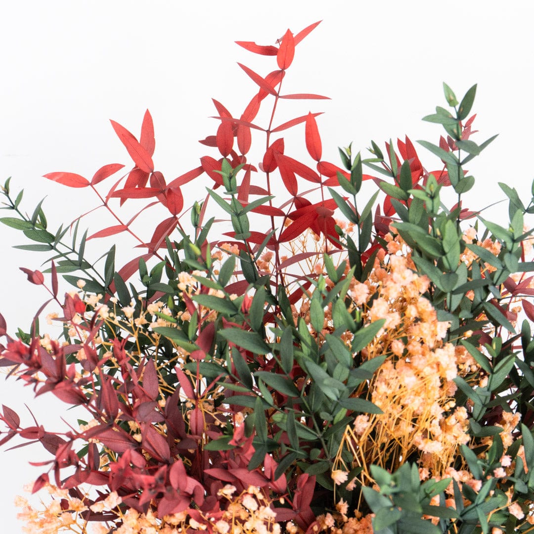 Ramo Gypso Parvifolia
