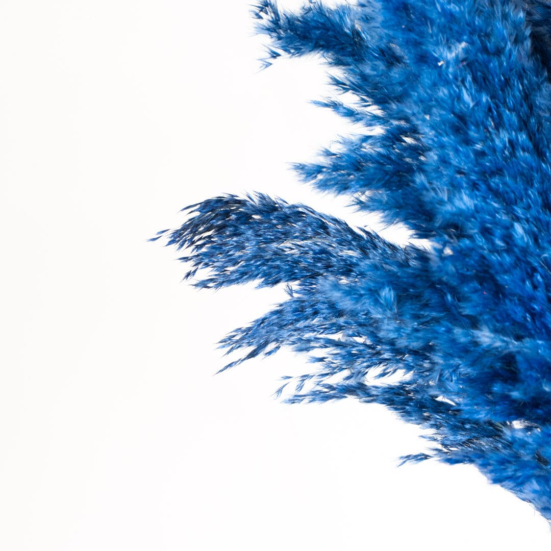 Ramo Pampa Azul