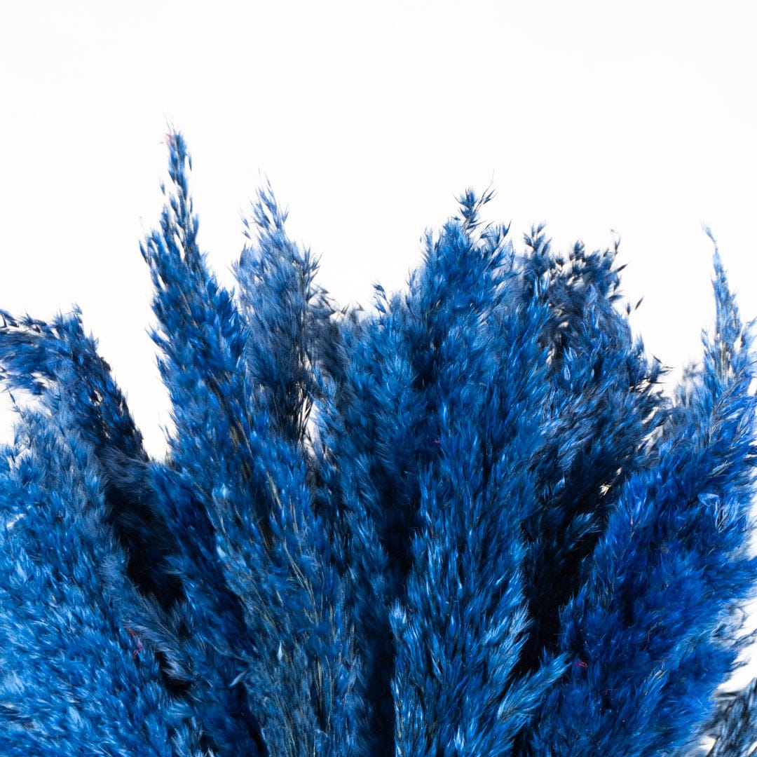 Ramo Pampa Azul