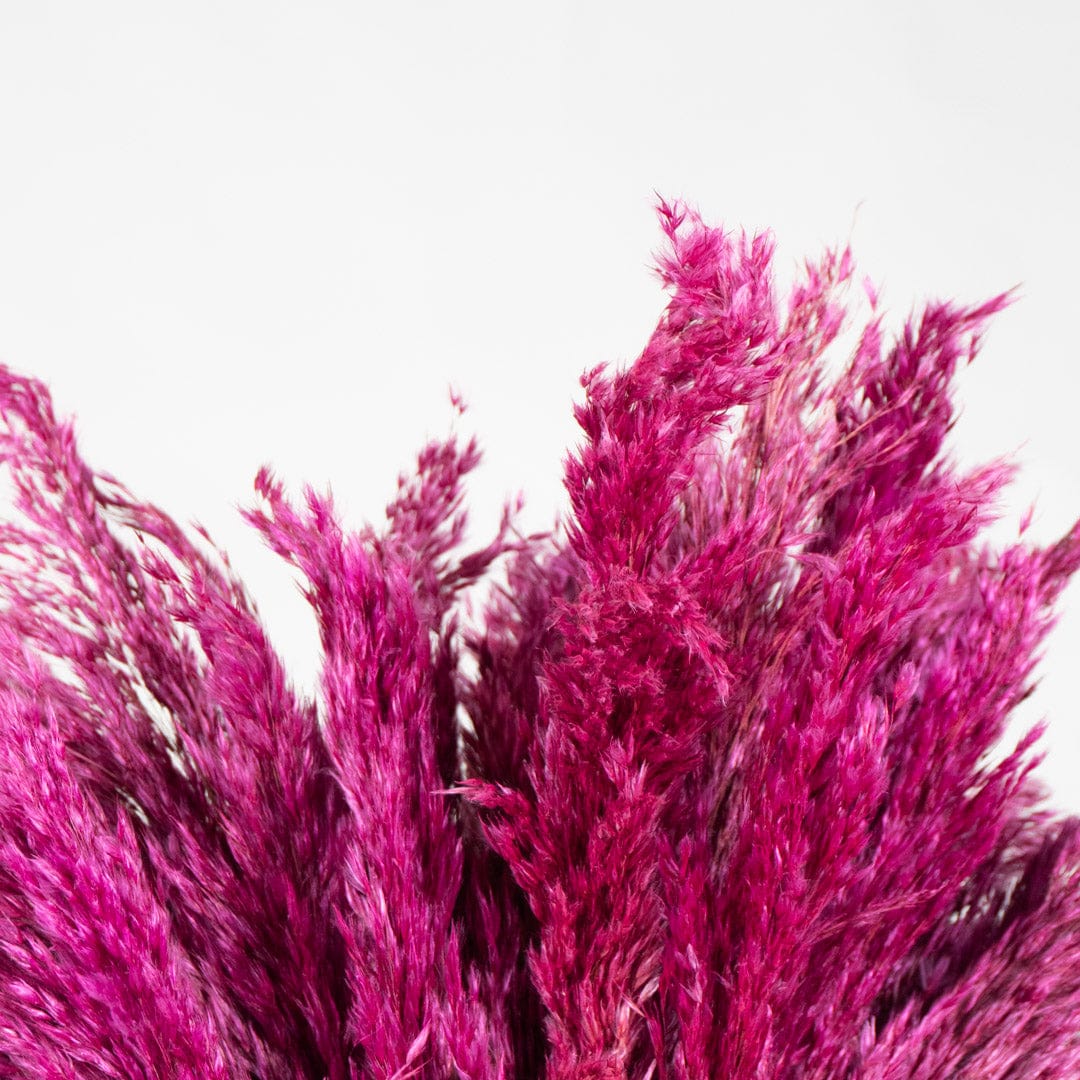 Ramo Pampa Fucsia