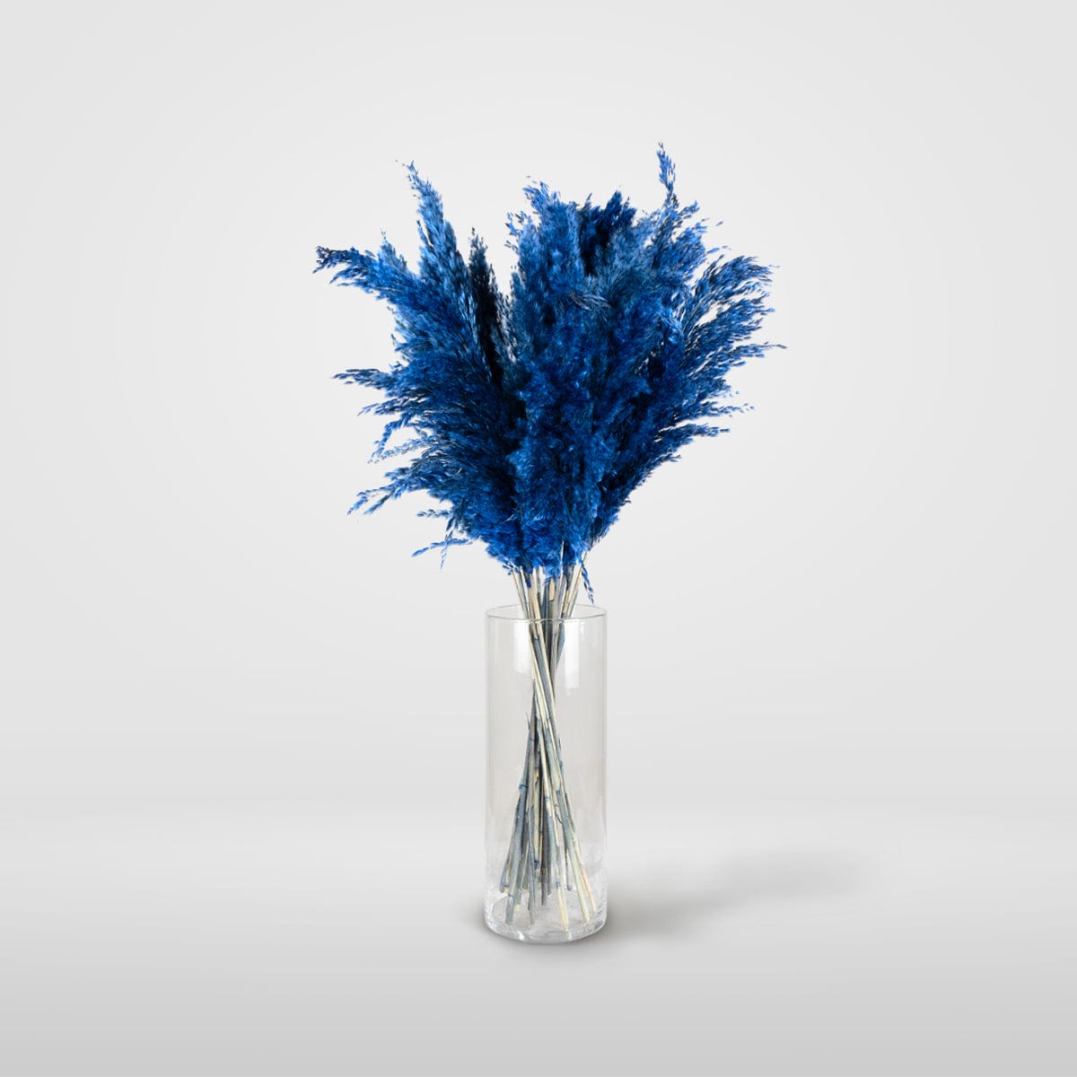 Ramo Pampa Azul