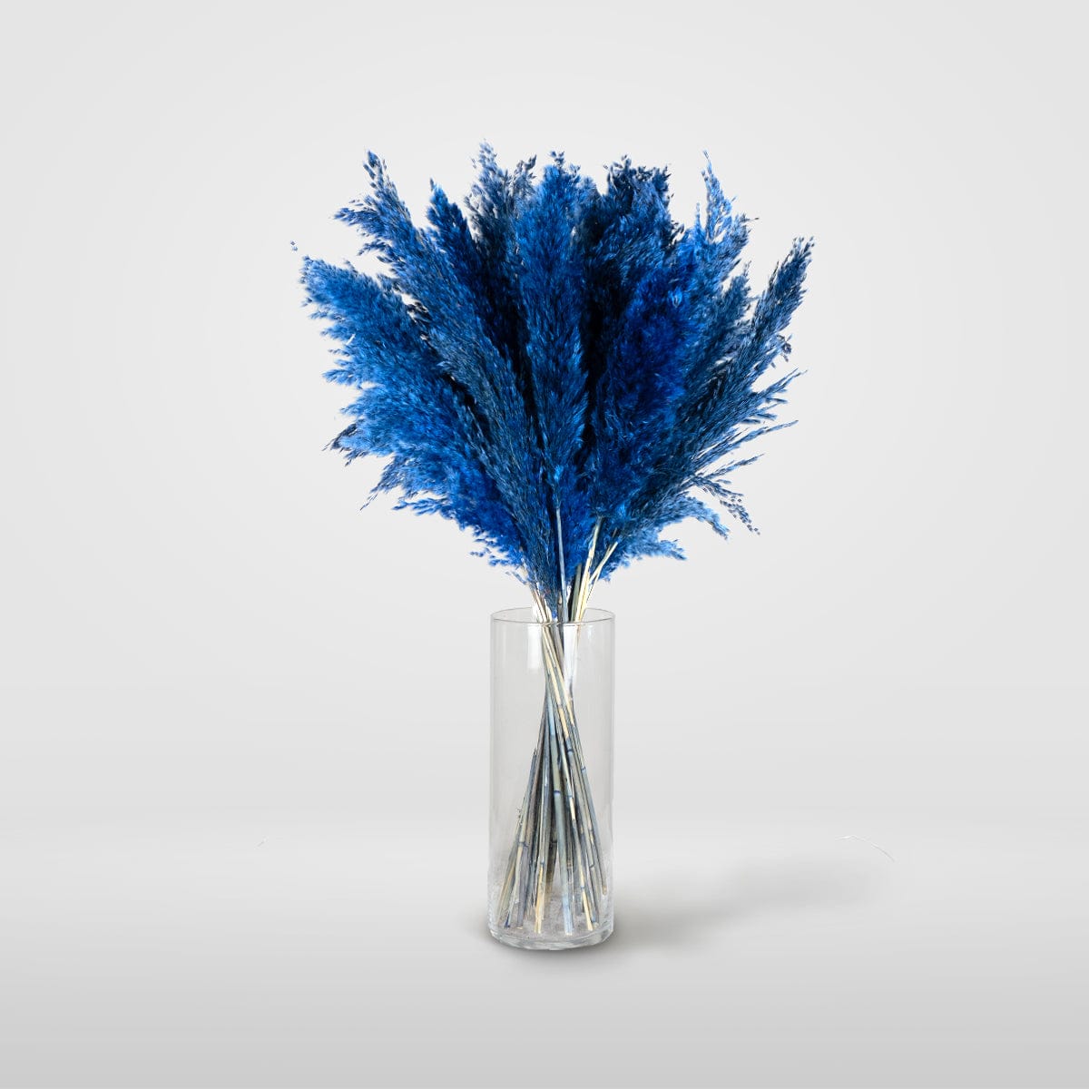 Ramo Pampa Azul