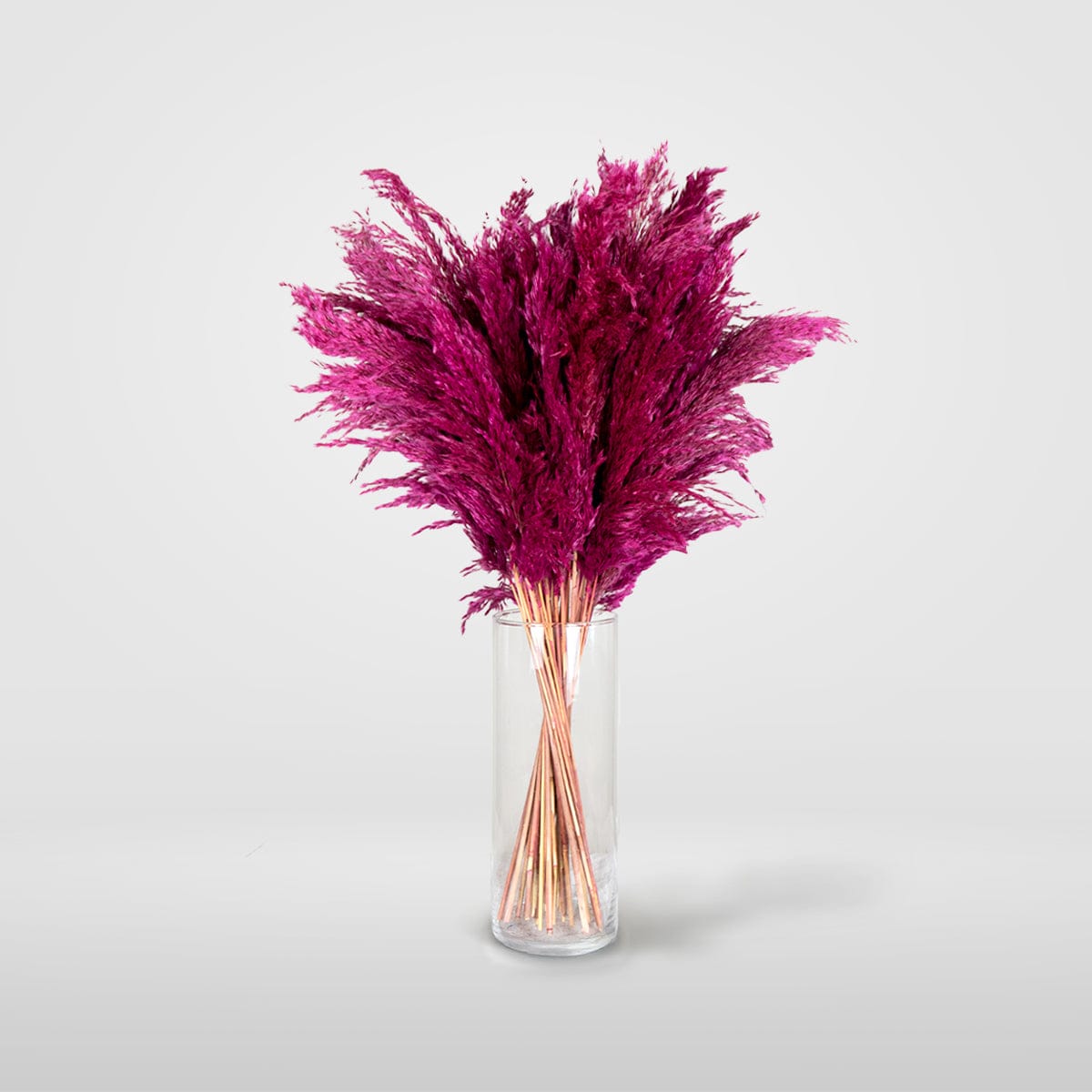 Ramo Pampa Fucsia