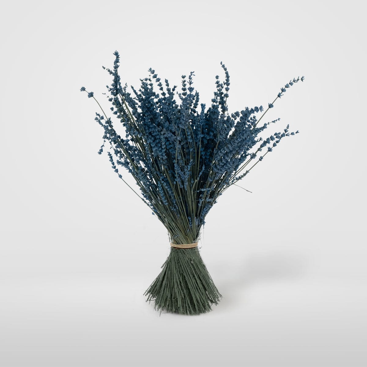 Ramo Lavanda Azul