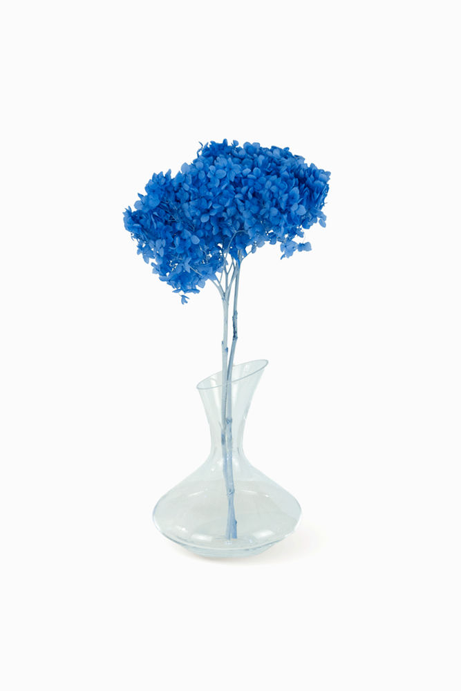 Ramo Hortensia Azul