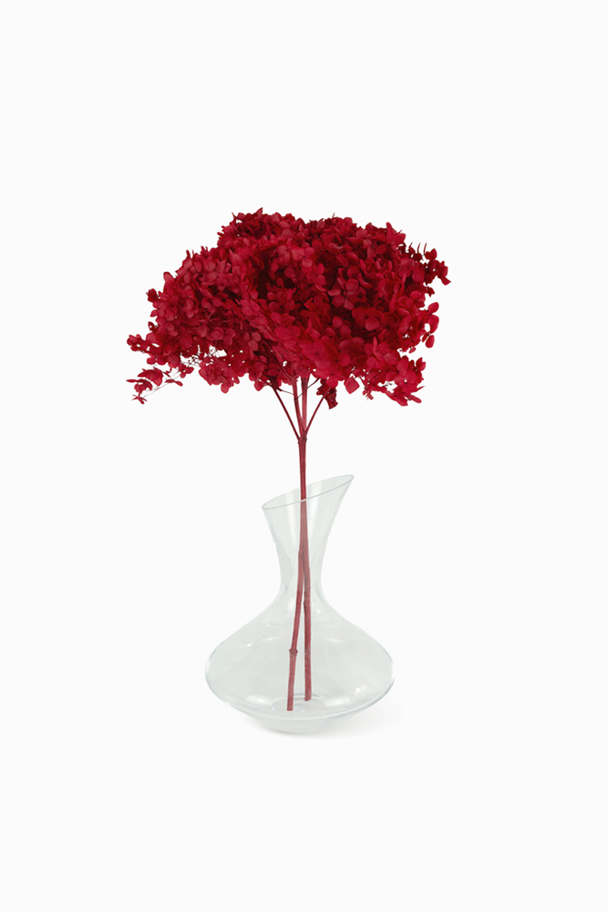 Ramo Hortensia Rojo