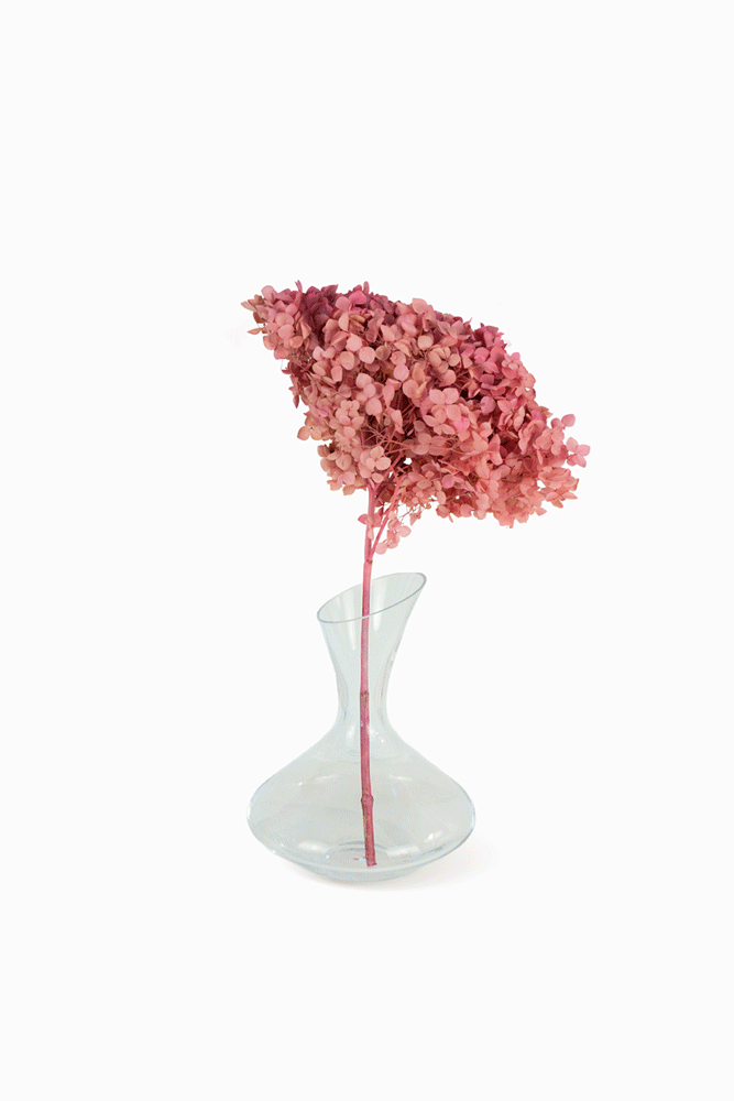 Ramo Hortensia Rosa