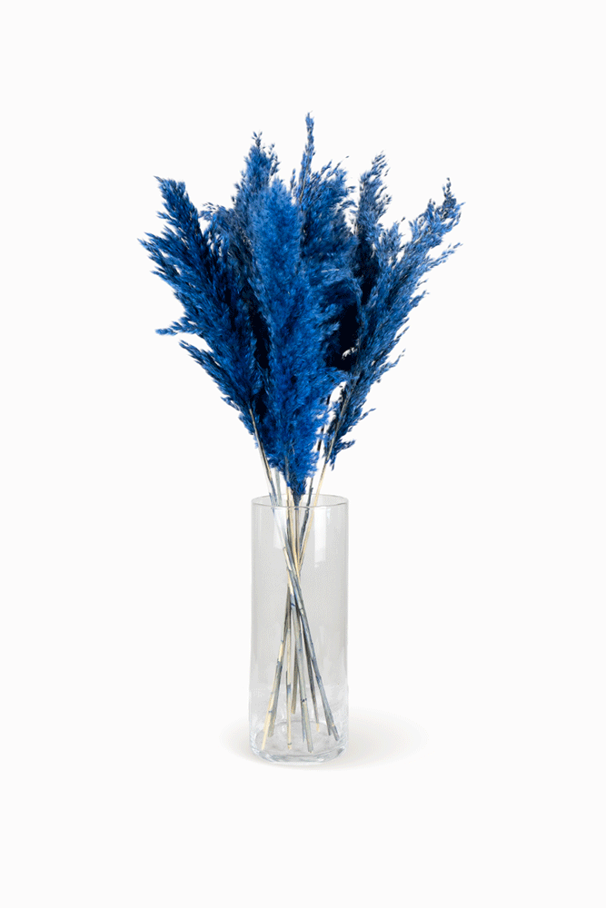 Ramo Pampa Azul