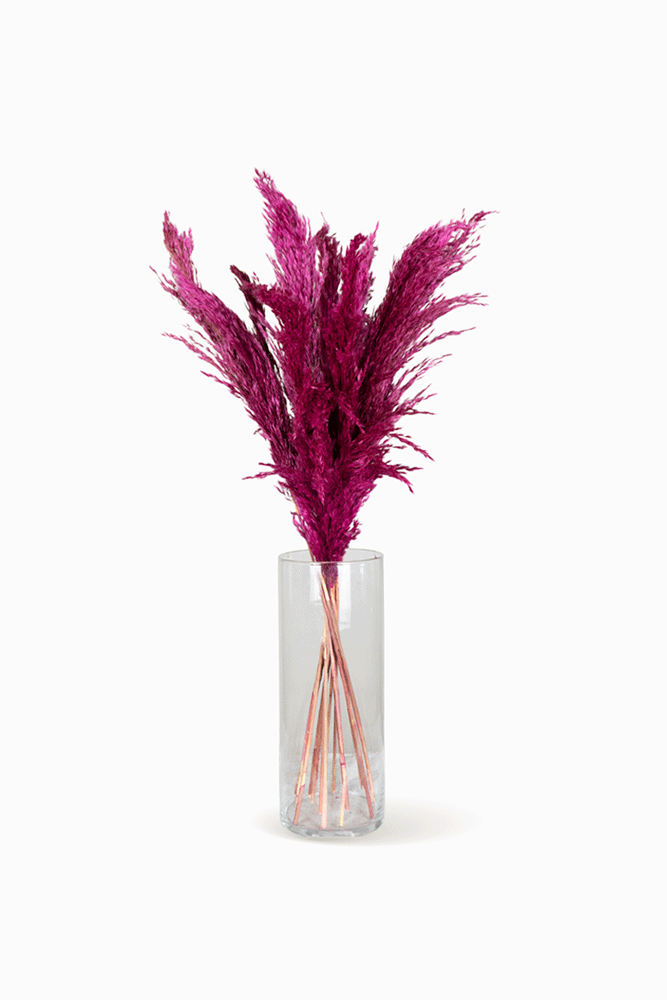 Ramo Pampa Fucsia