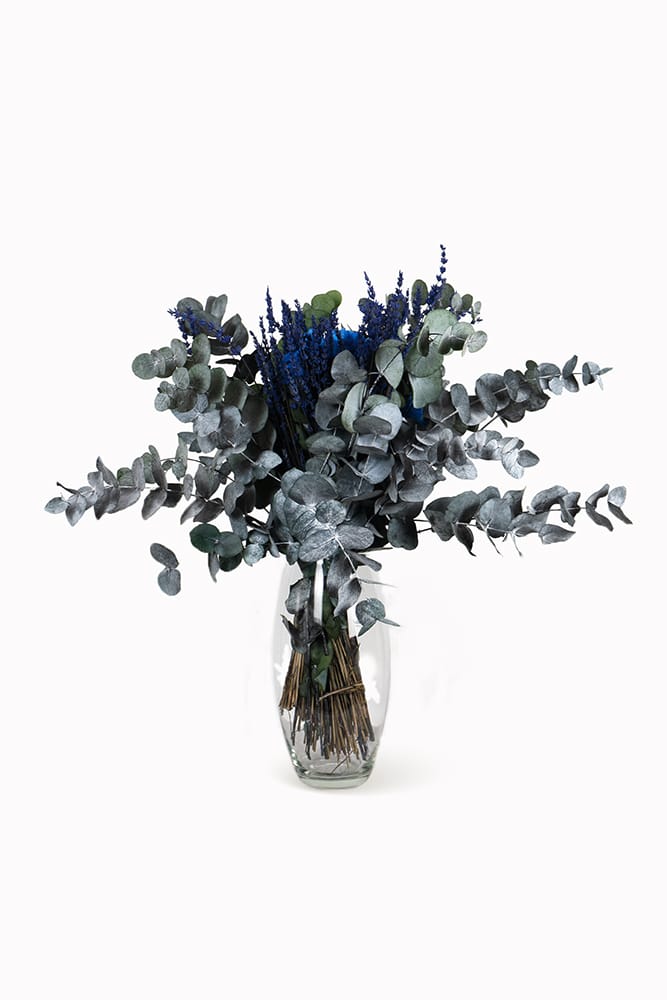 Ramo Cinerea Hortensia
