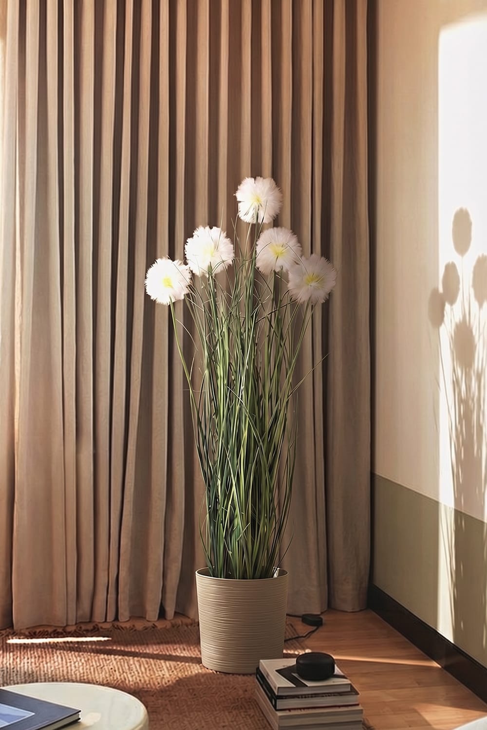 Gramínea Taraxacum