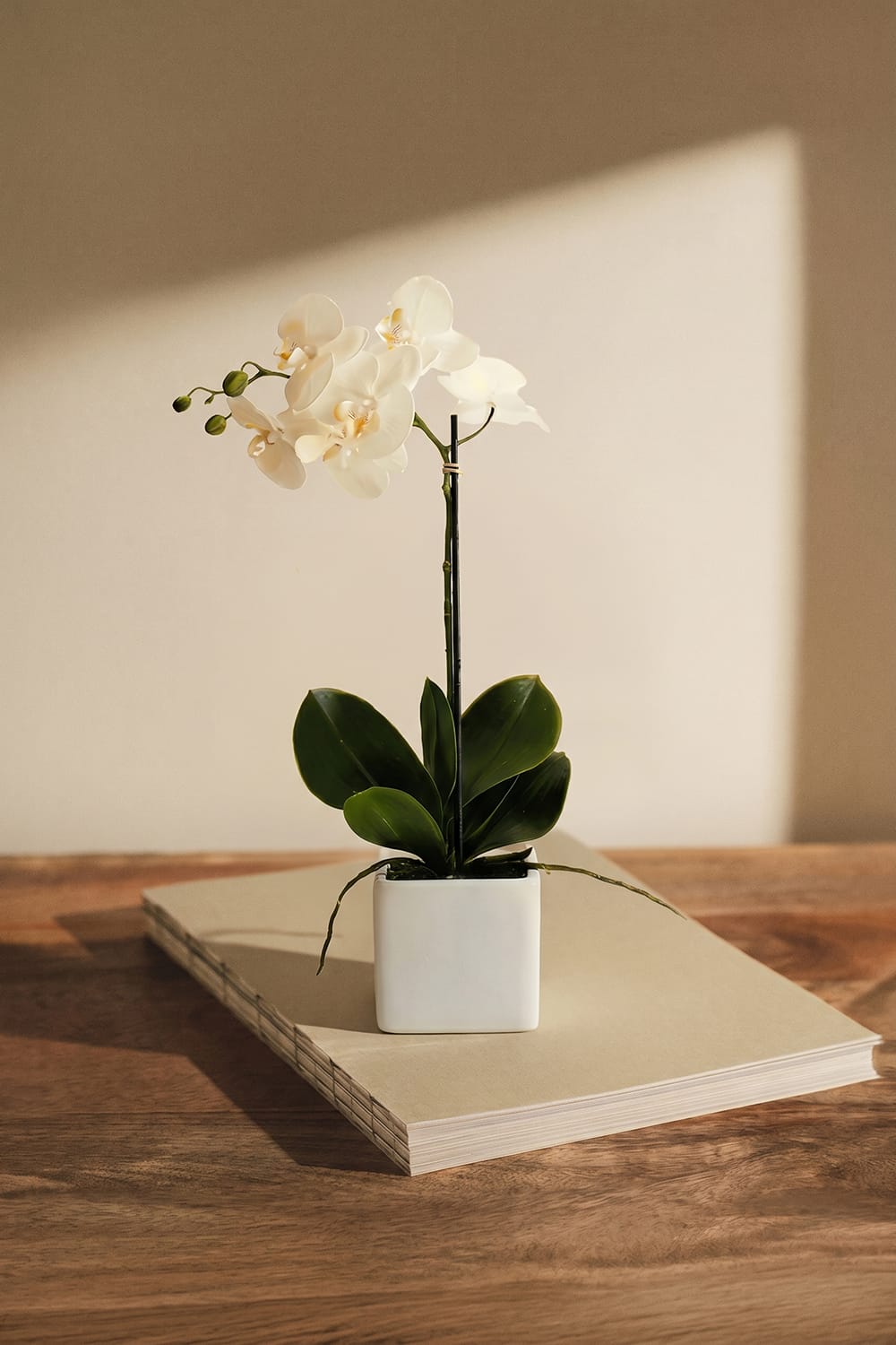 Orquídea Cerámica