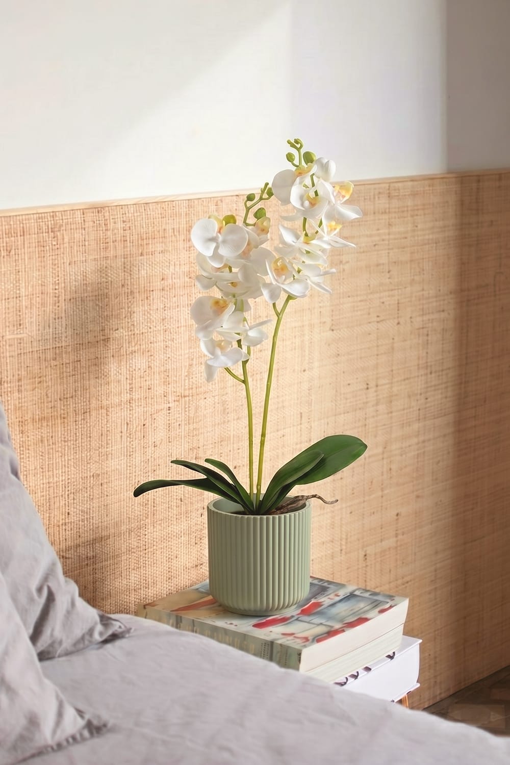 Orquídea Duo Blanca