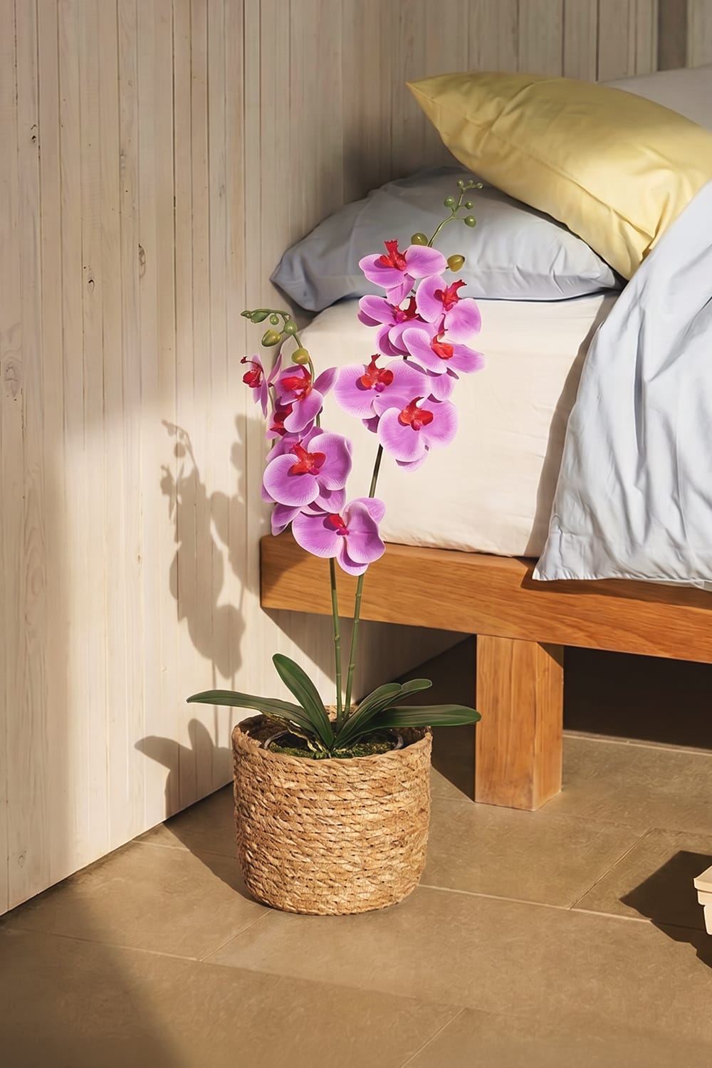 Orquídea Duo Fucsia