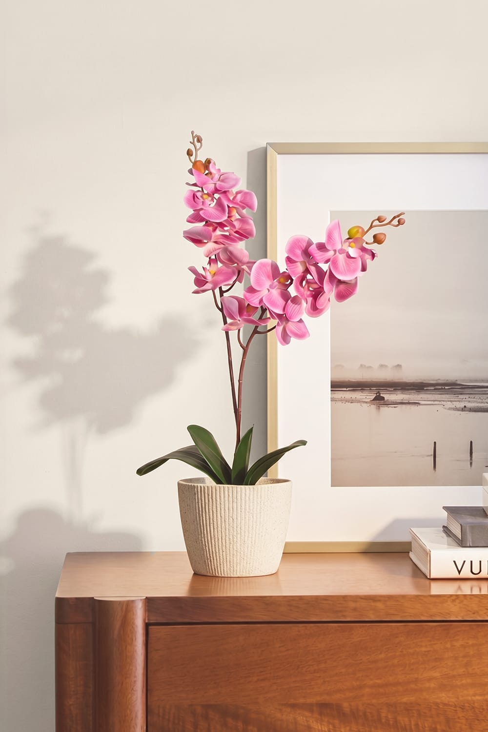 Orquídea Single Bubble