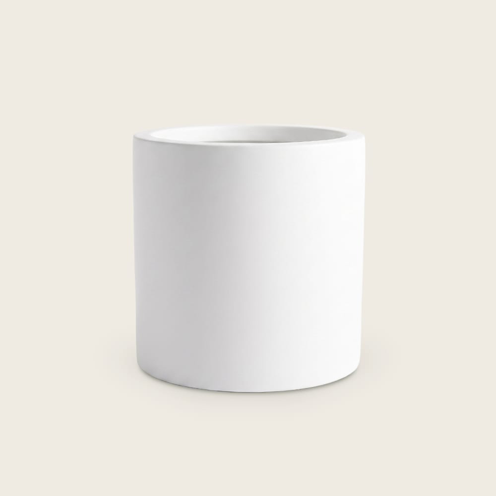 Puk Blanco