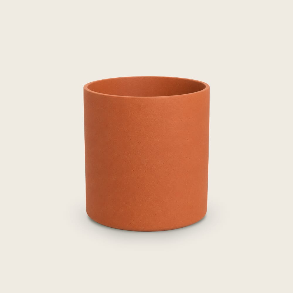 Puk Naranja