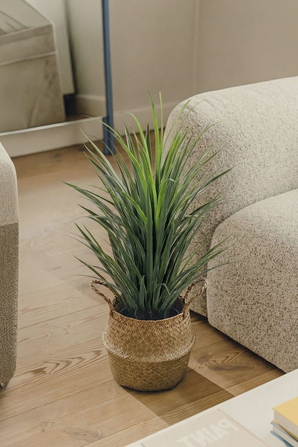 Yuca Grass